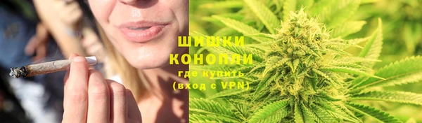 амф Новодвинск