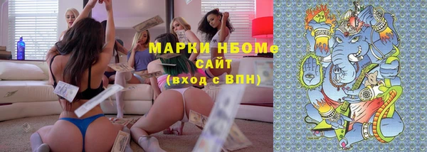 амф Новодвинск