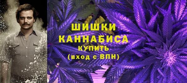 apvp Новозыбков