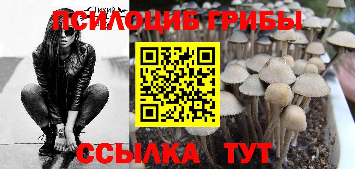 Галлюциногенные грибы ЛСД Зерноград