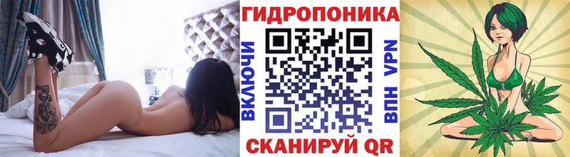 МАРИХУАНА Ganja  Зерноград 